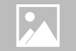 3377体育官网-转折点葡萄牙体育战术微调，社区盾关键时刻攻防权衡，赛场秩序良好，赛季目标并未改变